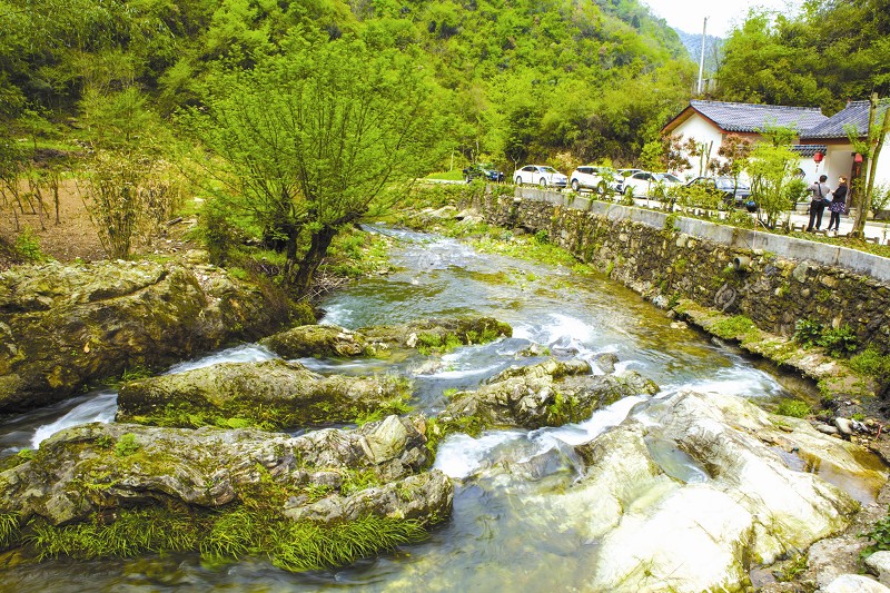 竹山太和梅花谷即将开门迎客