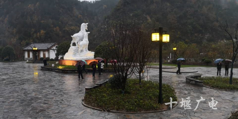QQ图片20181105183155_副本