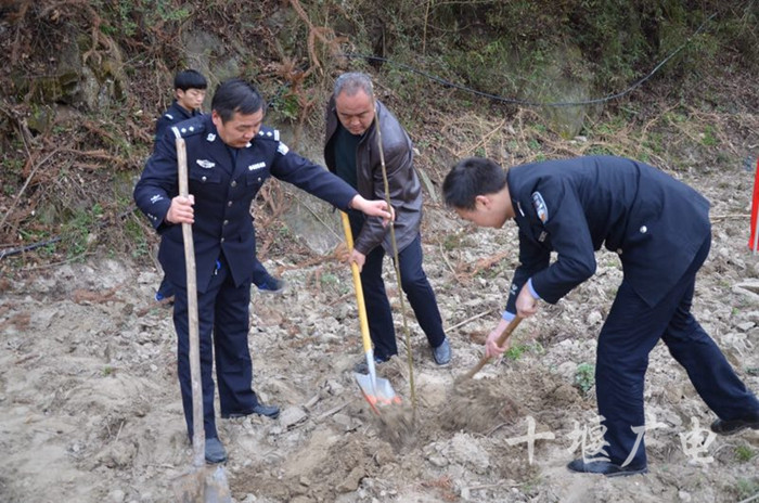 竹山县双台乡:植树造林增绿 共建大美双台