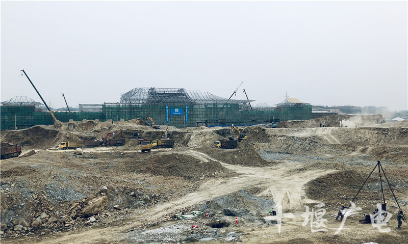 QQ图片20190329142314_副本_副本