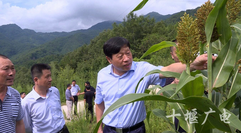 张维国在丹江口市官山镇铁炉村调研脱贫攻坚和乡村治理工作