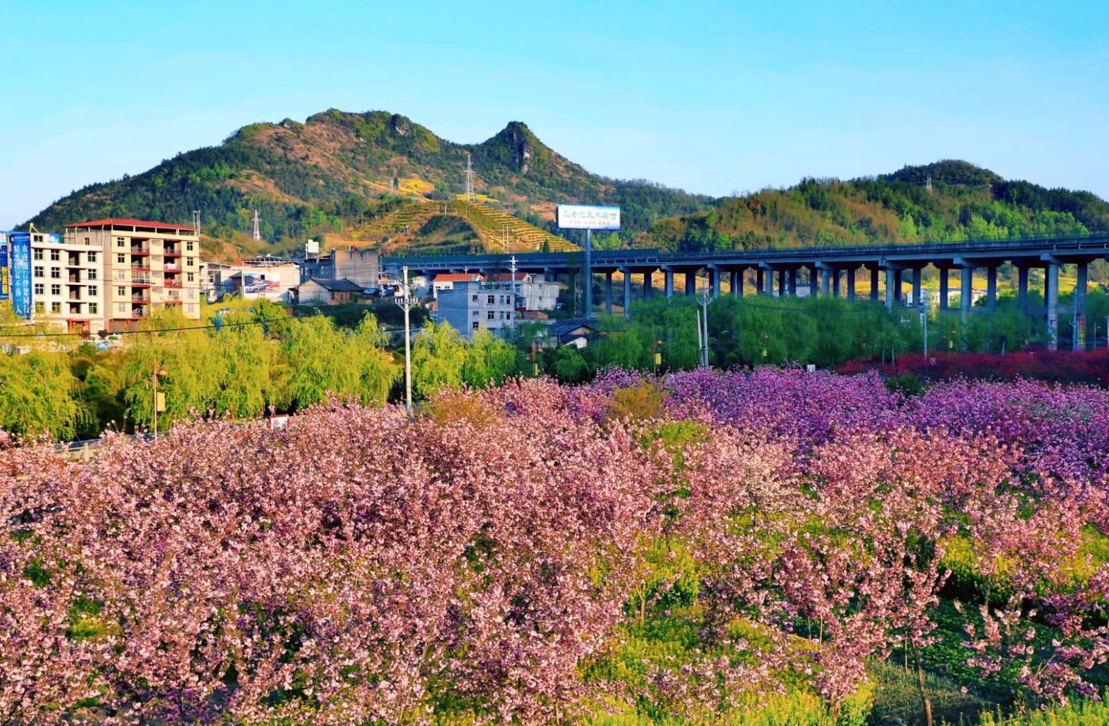 新闻中心 旅游 正文  经过两年多的建设,竹溪桃花岛旅游风景区已形成