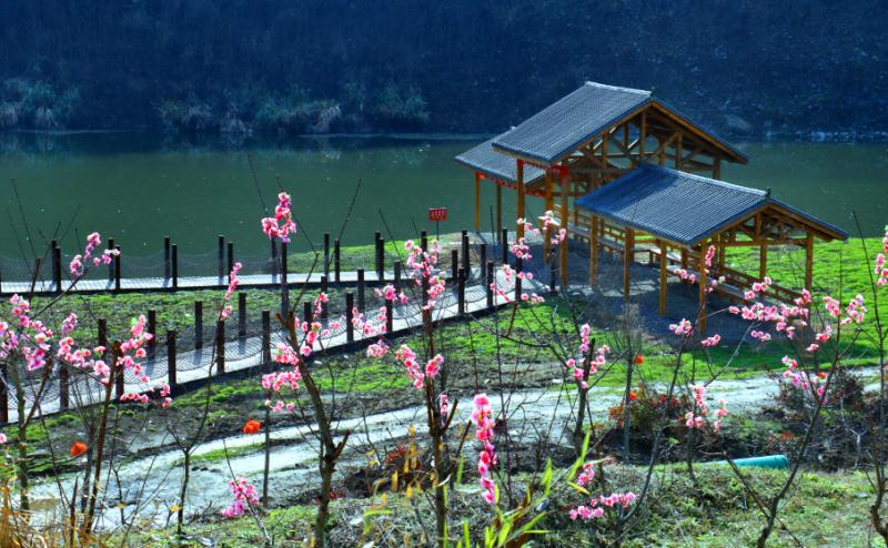 新闻中心 旅游 正文  经过两年多的建设,竹溪桃花岛旅游风景区已形成