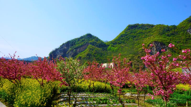 竹溪桃花岛景区位于竹溪县水坪镇向家汇村,植被丰富,文化底蕴深厚