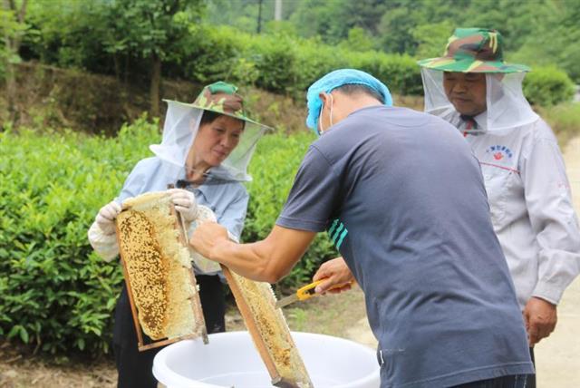 茅箭南部山区群众脱贫致富经