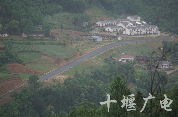 360截图20200610115258315_副本