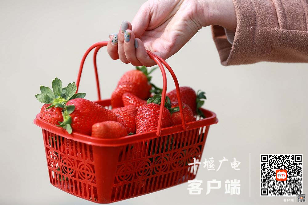 微信图片_20210114102226(1)