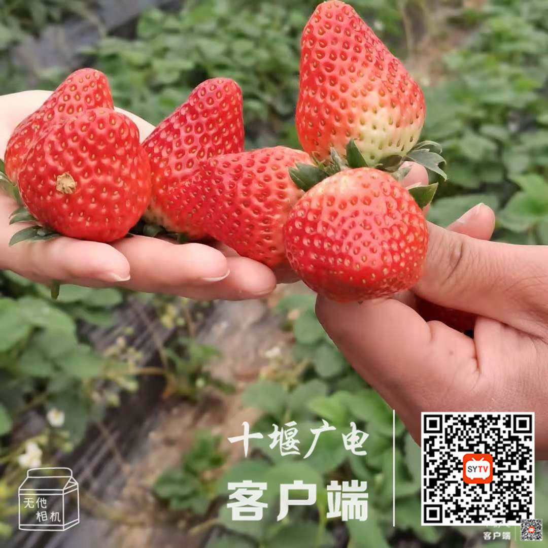 微信图片_20210114102304(1)