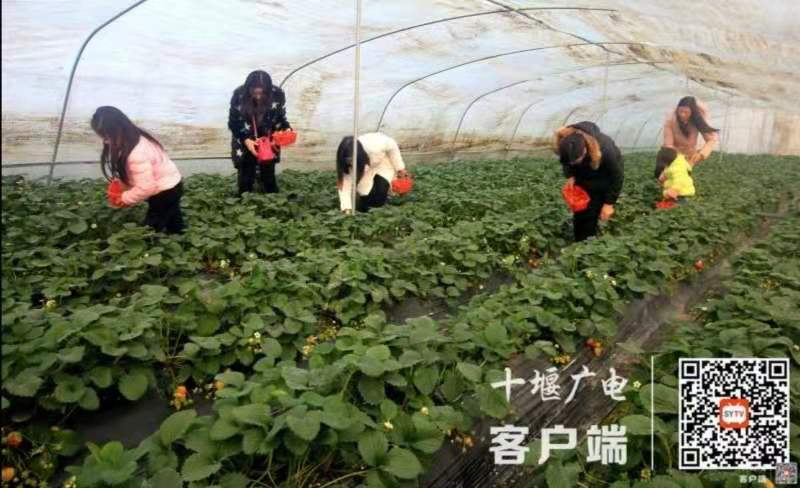 微信图片_20210114113758