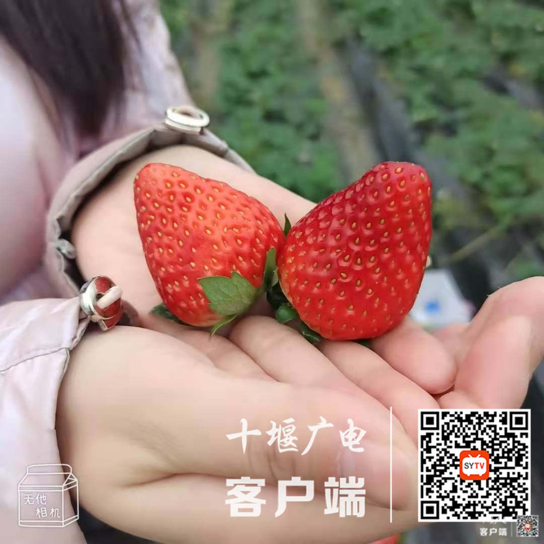 微信图片_20210114102307(1)