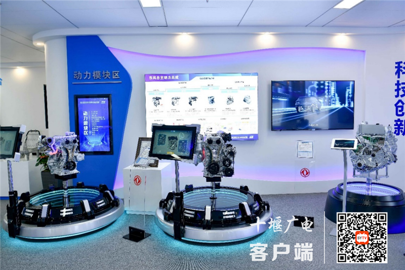 图片7_副本