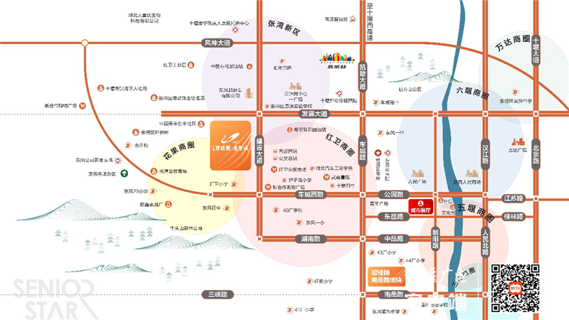 图片6_副本