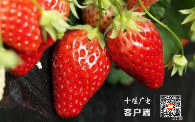 微信图片_20210120152635_副本