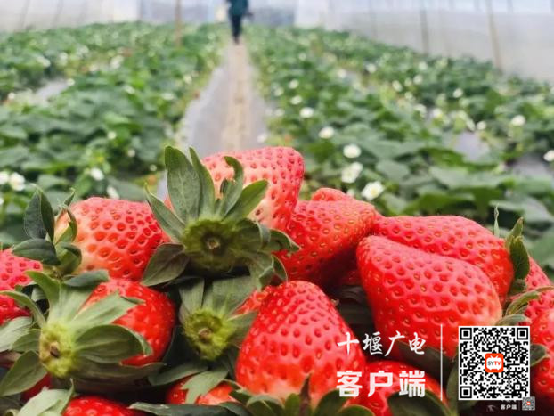 微信图片_20210120152627_副本