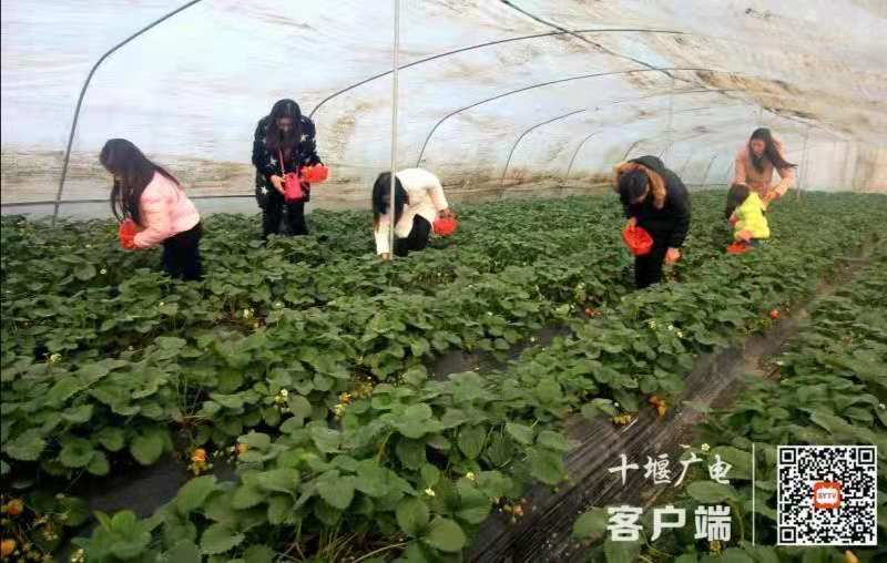 微信图片_20210120154013