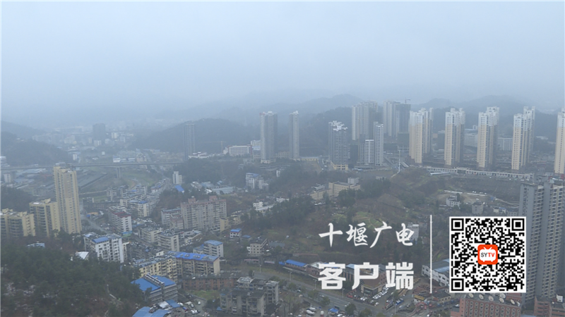 Still1201_00000_副本