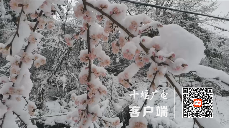 Still1201_00002_副本