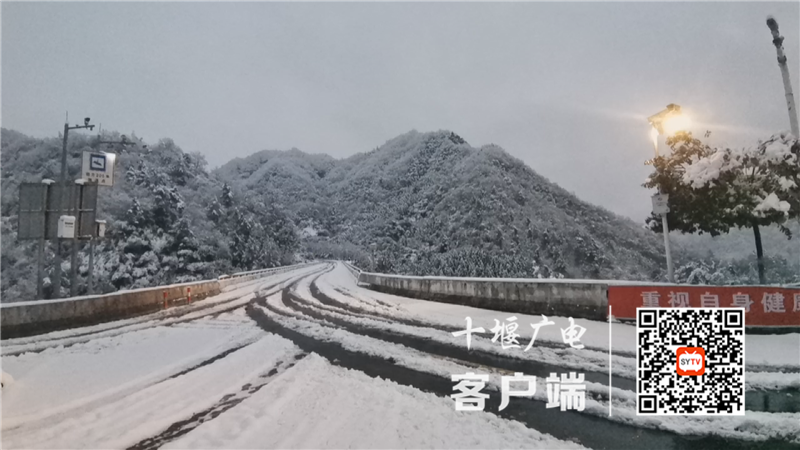 Still1201_00001_副本