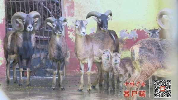 360截图20210301160009875_副本
