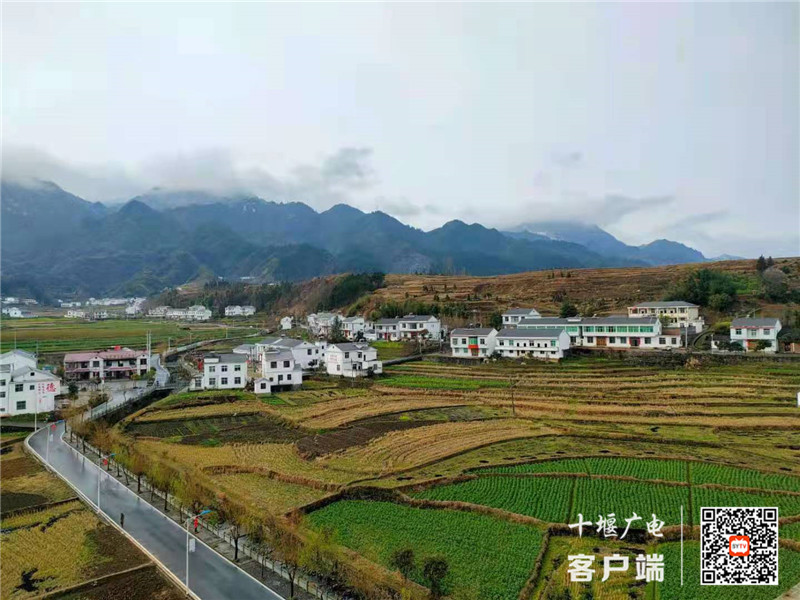 微信图片_20210302144933_副本