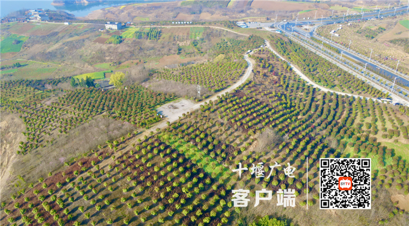 QQ截图20210304155424_副本
