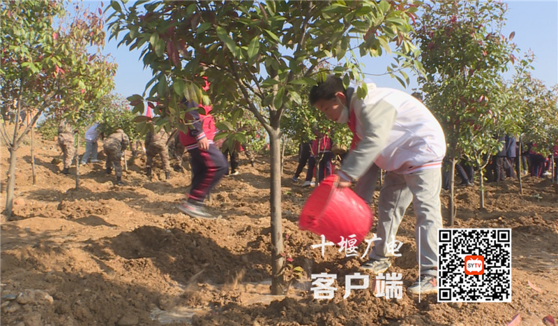 QQ截图20210304155526_副本