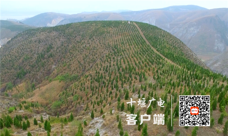 QQ截图20210304155407_副本