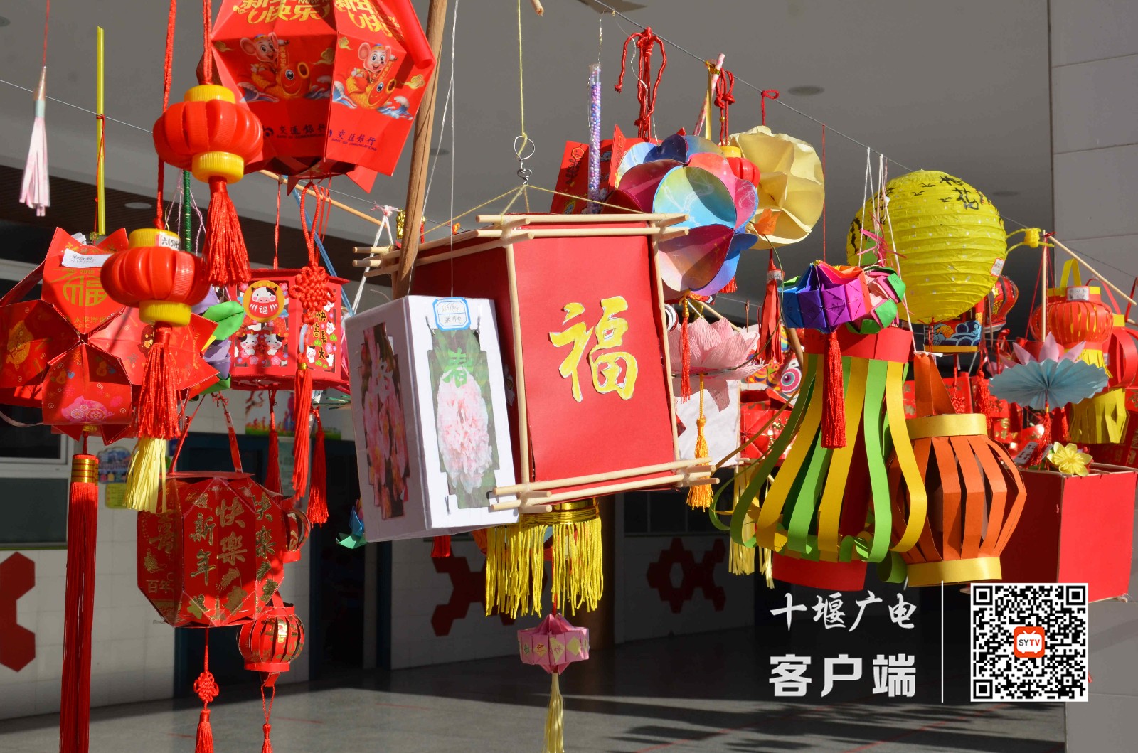 DSC_7179_副本