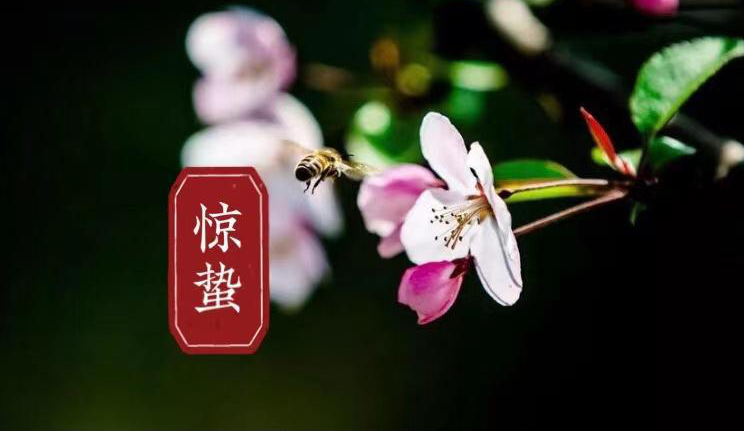 微信图片_20210305071750