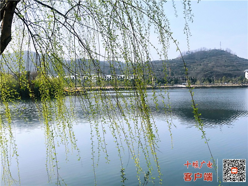 微信图片_20210304235941