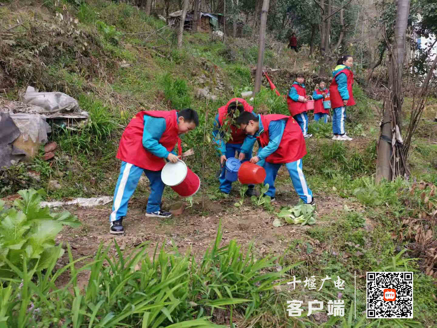 微信图片_20210305155125_副本