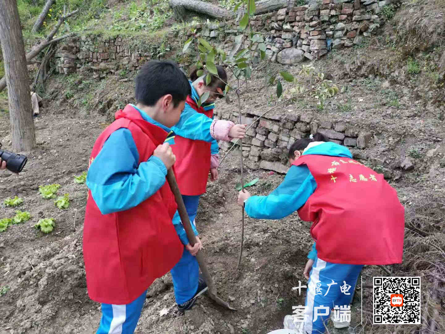 微信图片_20210305155128_副本