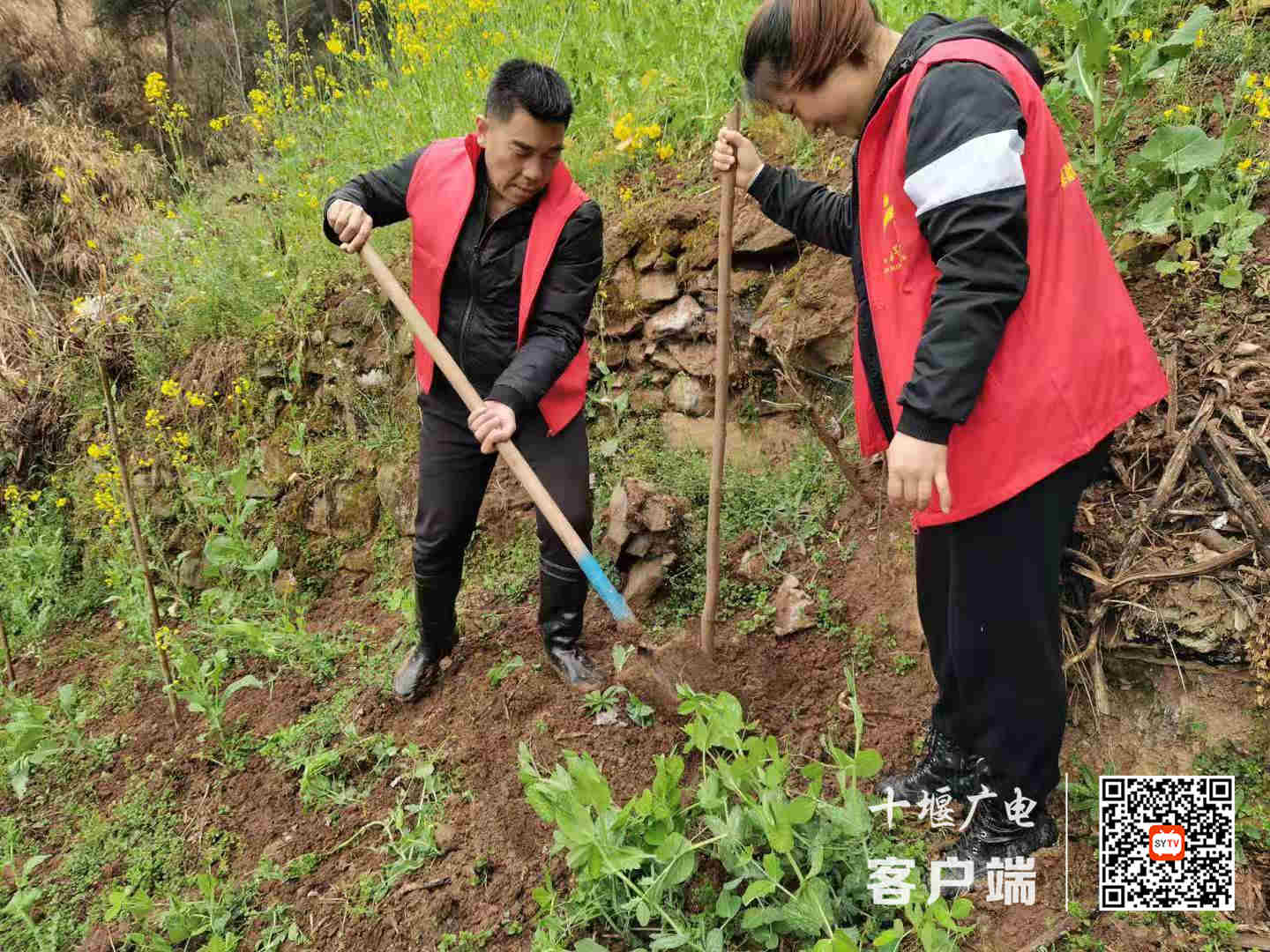 微信图片_20210311183649_副本