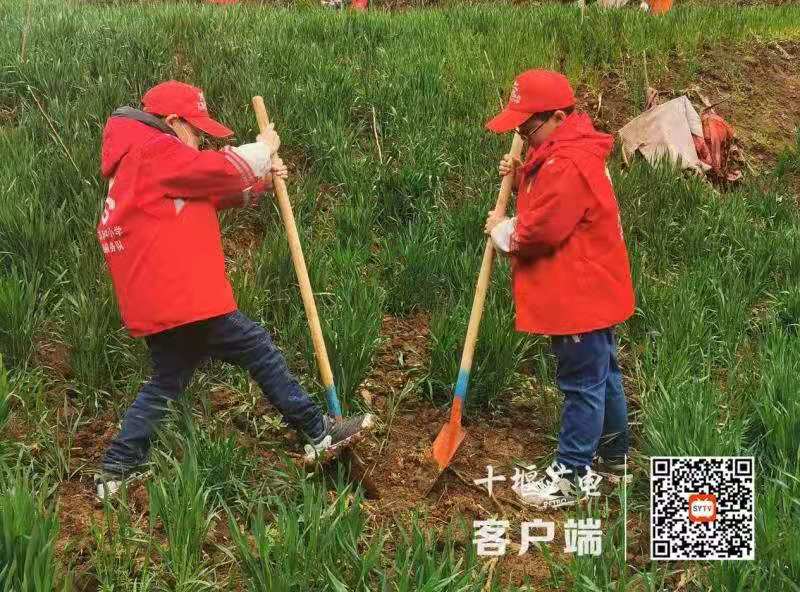 微信图片_20210311185422