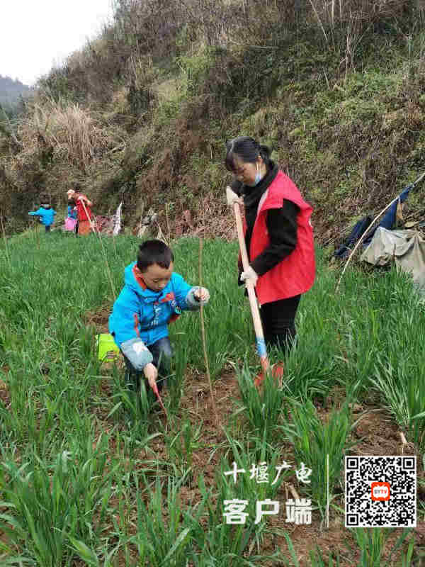 微信图片_20210312203155_副本