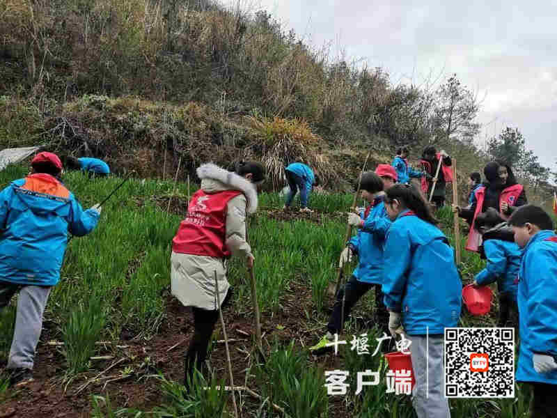 微信图片_20210312203200_副本
