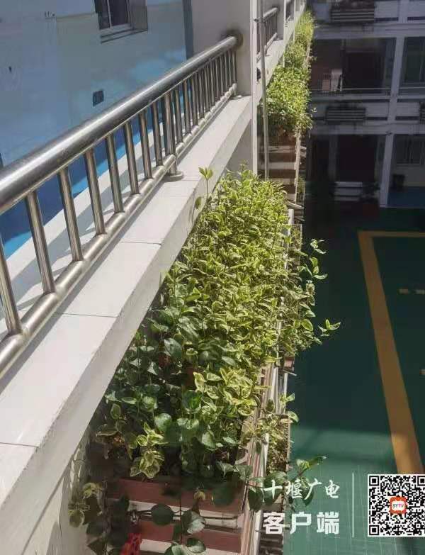 微信图片_20210312232930