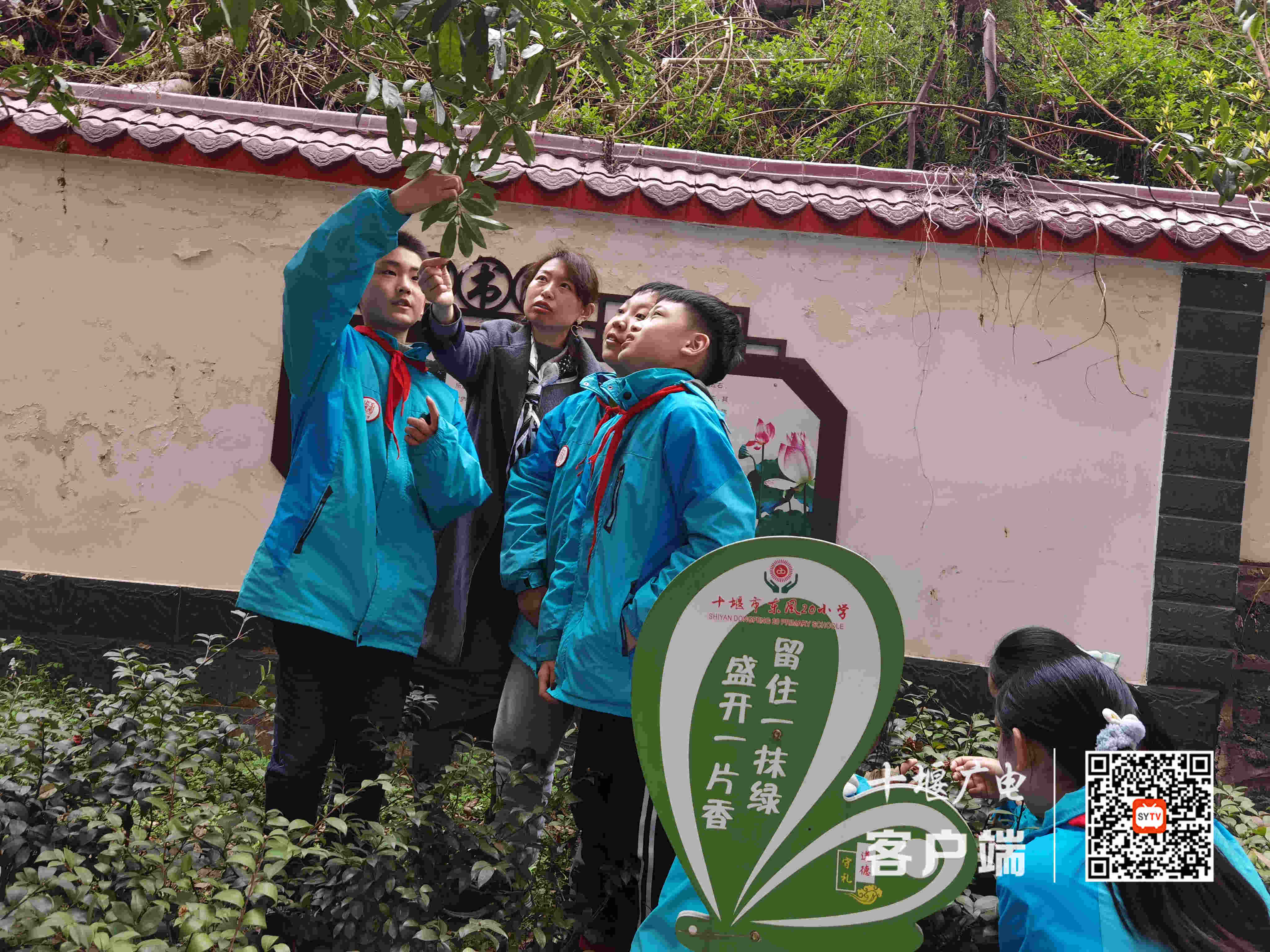 微信图片_20210312235559_副本
