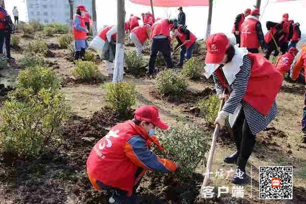 微信图片_20210313001244_副本