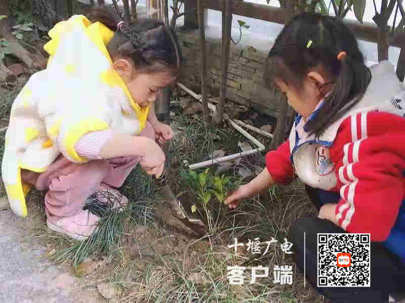 微信图片_20210313002943_副本