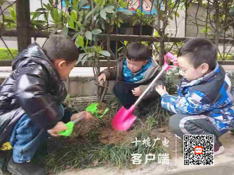 微信图片_20210313002946_副本