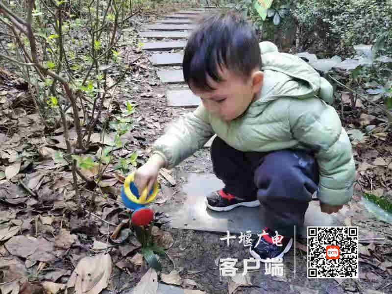 微信图片_20210313002950_副本