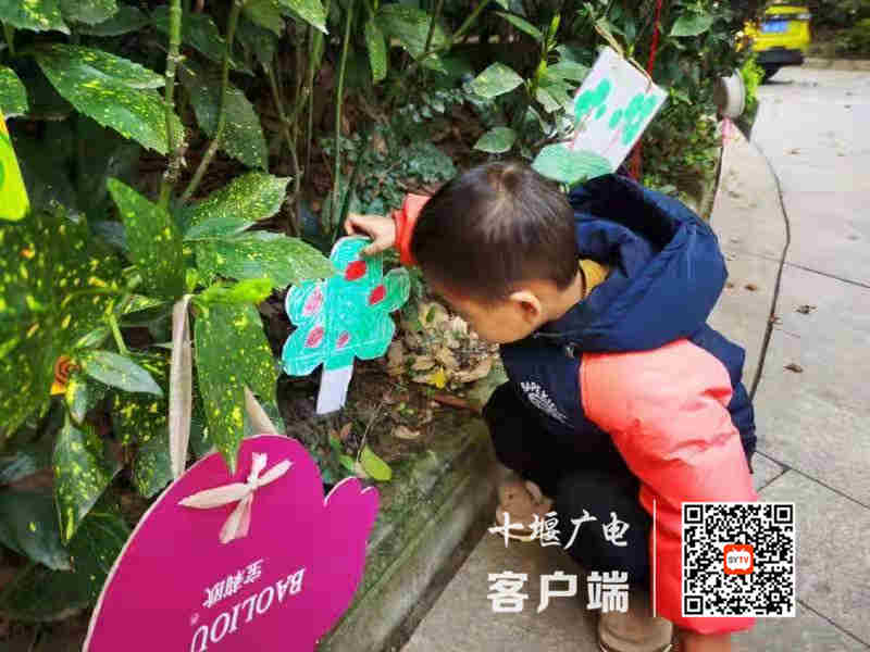 微信图片_20210313002953_副本