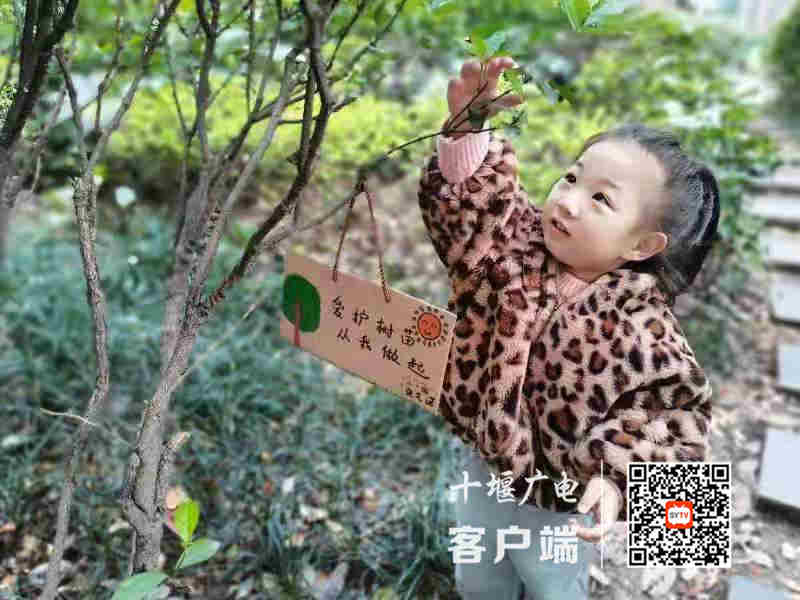 微信图片_20210313003001_副本