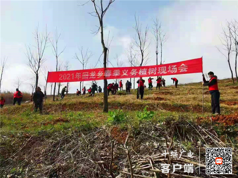 房县回龙乡:春季植树忙 乡村添新绿