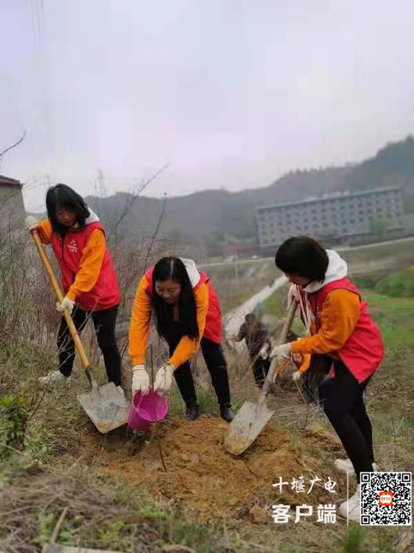 微信图片_20210314151013_副本