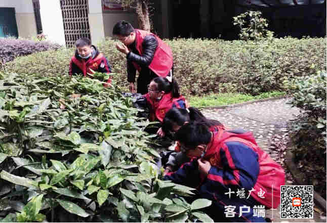 QQ图片20210315222933_副本