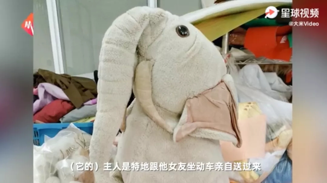 640.webp (2)
