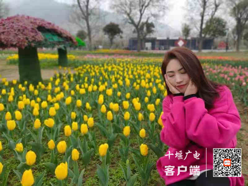 微信图片_20210319102138_副本