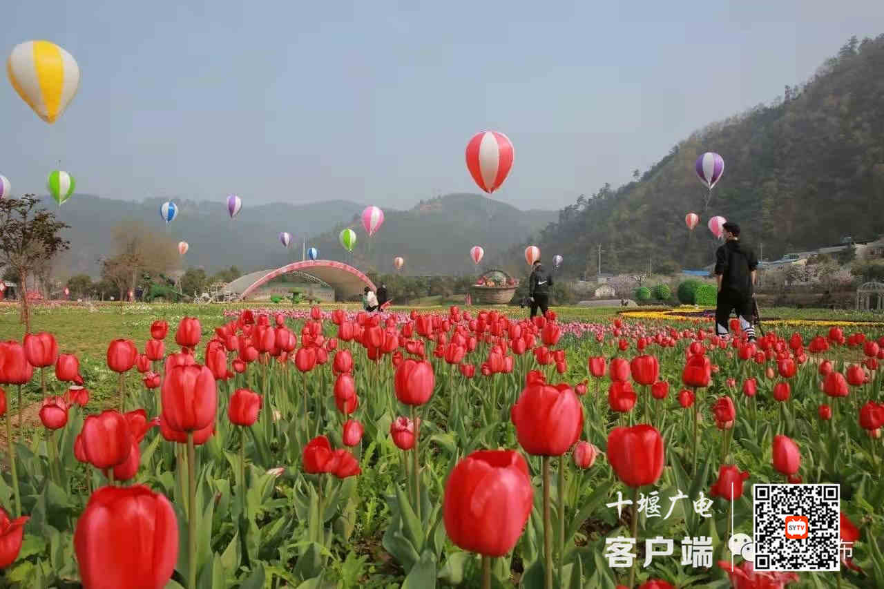 微信图片_20210319095752_副本